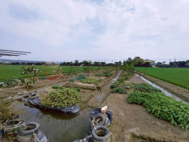 獨家花壇好山好水開心農場房屋室內格局與周邊環境