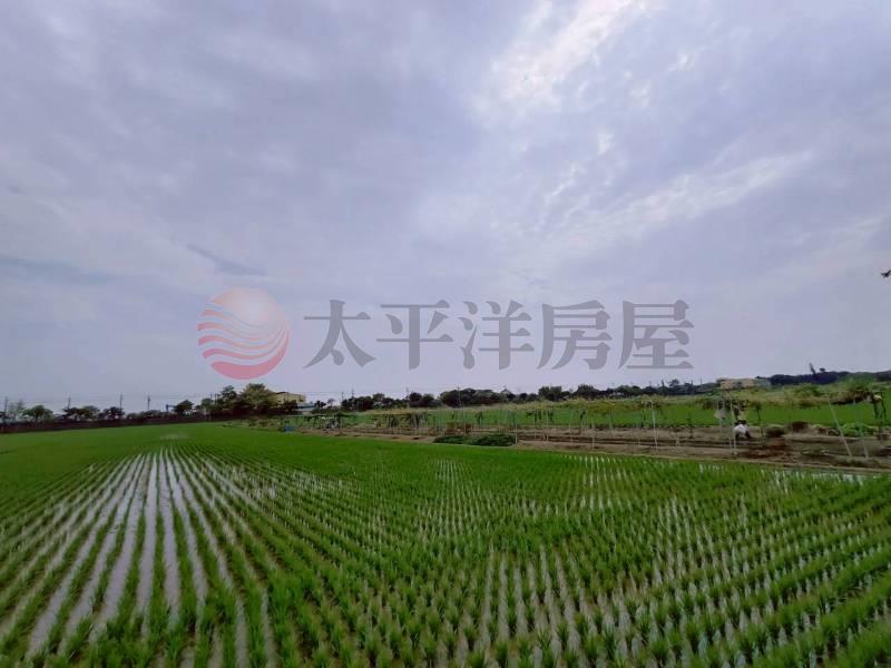 獨家花壇好山好水開心農場房屋室內格局與周邊環境