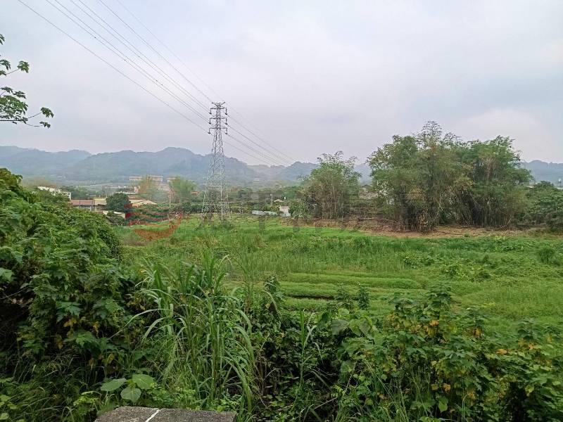 急售~社頭鄉稀有8米大馬路旁7.5分農地房屋室內格局與周邊環境