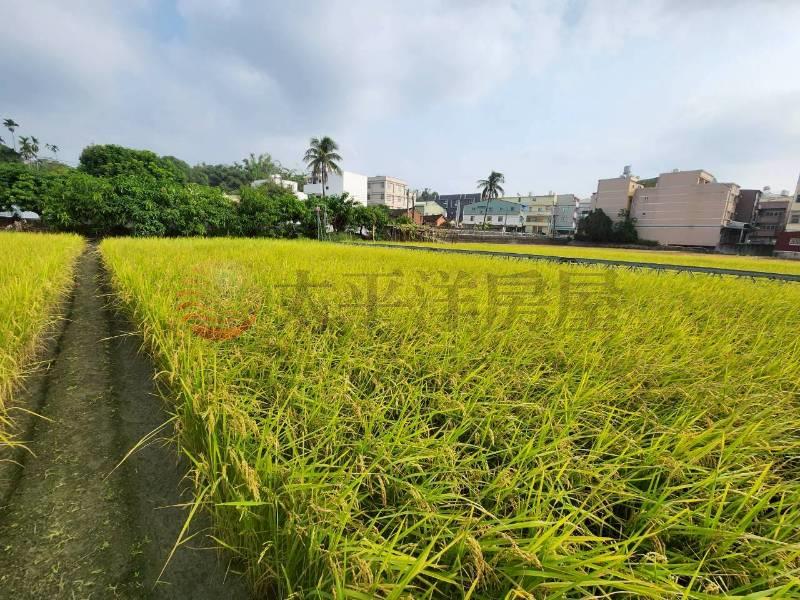 大肚區福山里美田房屋室內格局與周邊環境