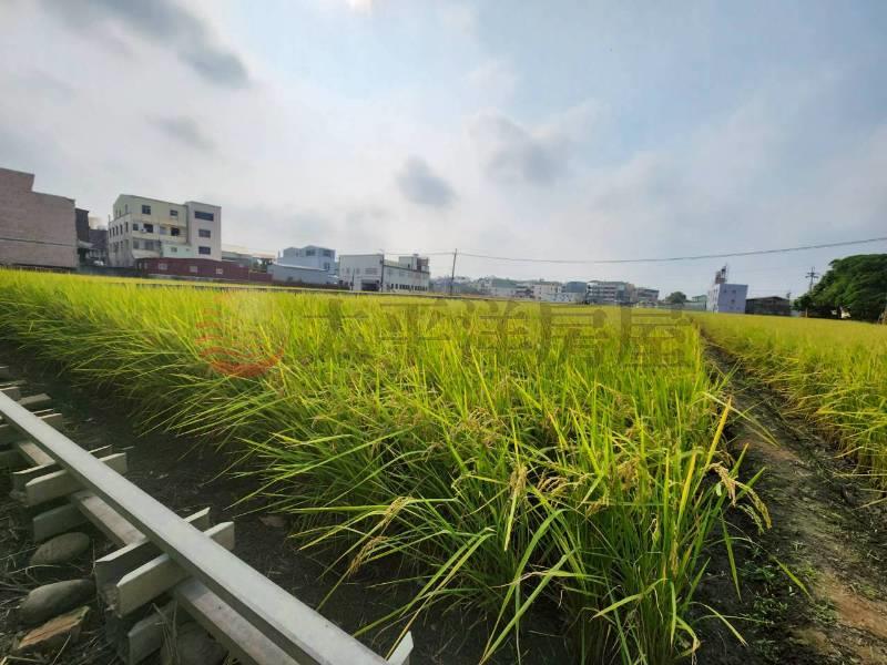 大肚區福山里美田房屋室內格局與周邊環境
