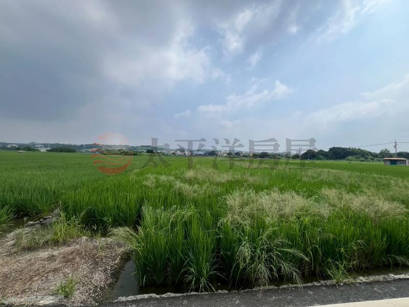 花壇近大埔截水溝美田房屋室內格局與周邊環境