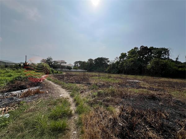花壇74線旁平坦美農地房屋室內格局與周邊環境