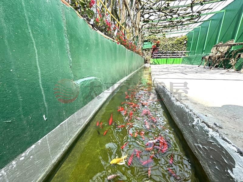 秀水景觀大坪數農舍房屋室內格局與周邊環境