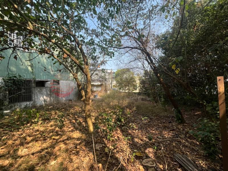 台鳳大地坪特目角地房屋室內格局與周邊環境