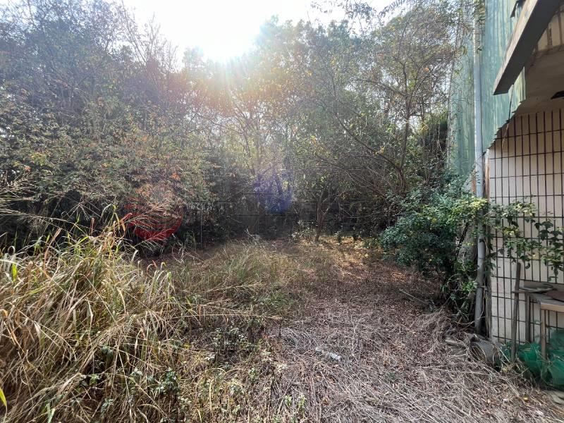 台鳳大地坪特目角地房屋室內格局與周邊環境