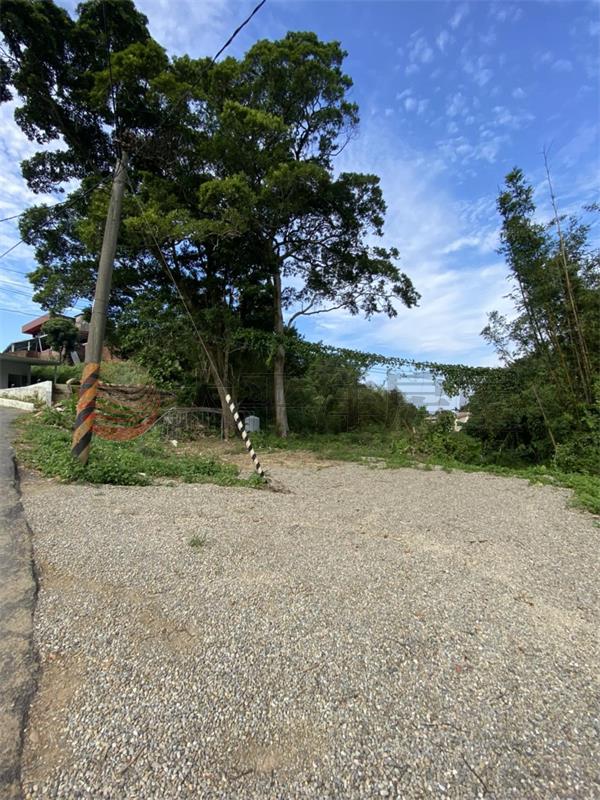 大溪農+建+合法建物房屋室內格局與周邊環境