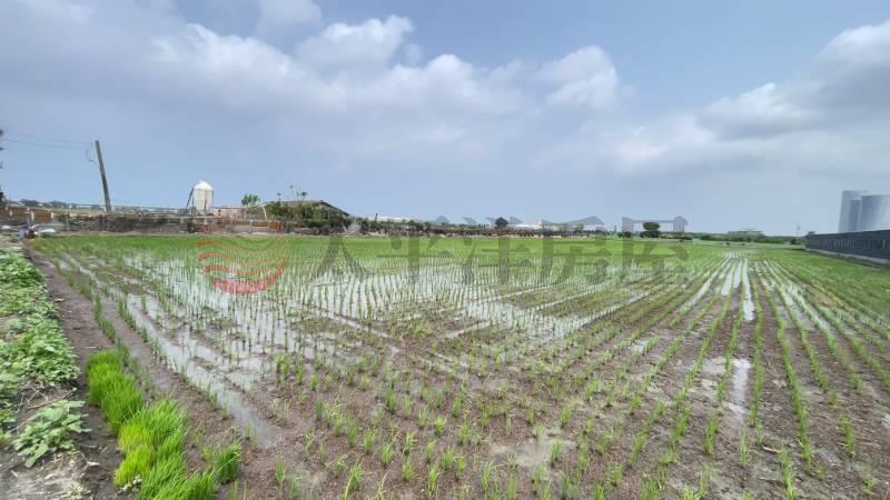 芳苑鄉芳仁段方正大農地房屋室內格局與周邊環境