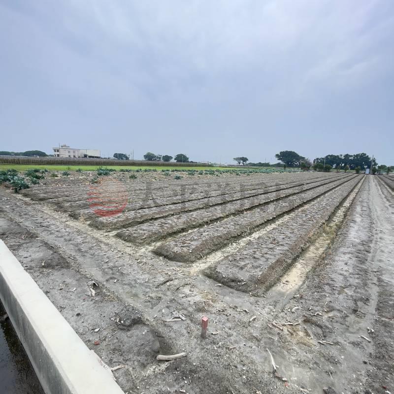 埔鹽鄉石埤段三分方正良田房屋室內格局與周邊環境