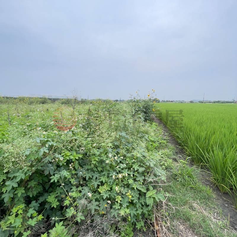 芳苑田園夢想農地|草二段房屋室內格局與周邊環境