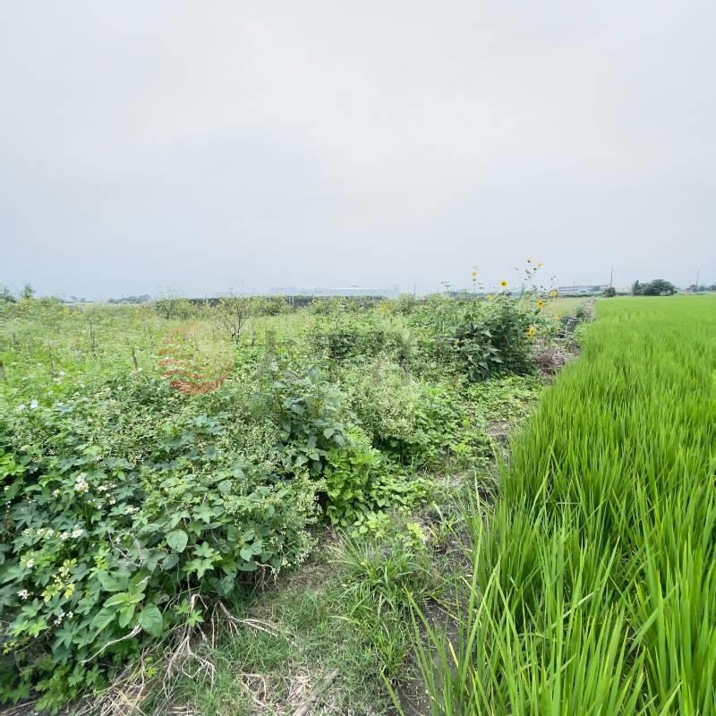 芳苑田園夢想農地|草二段房屋室內格局與周邊環境