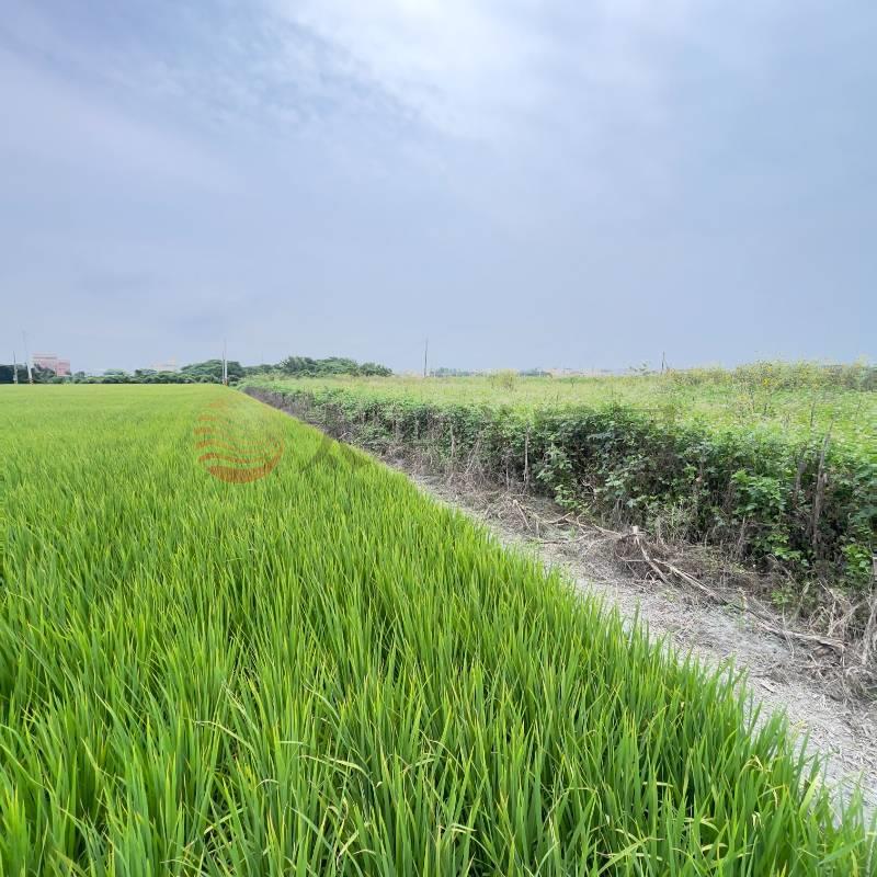 芳苑田園夢想農地|草二段房屋室內格局與周邊環境