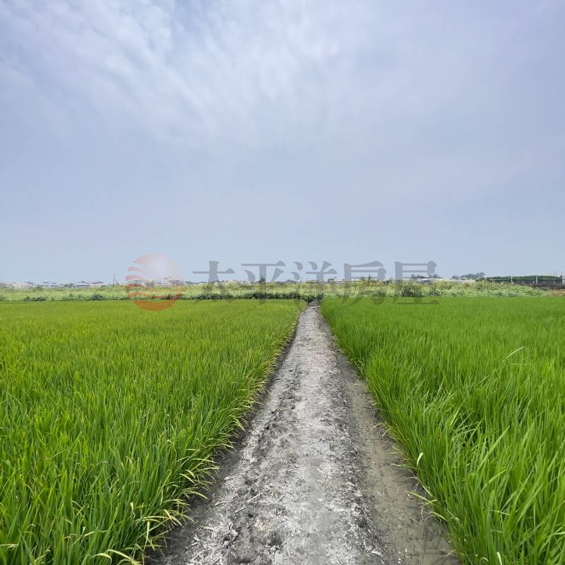 芳苑田園夢想農地|草二段房屋室內格局與周邊環境