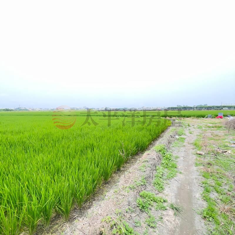 芳苑田園夢想農地|草二段房屋室內格局與周邊環境