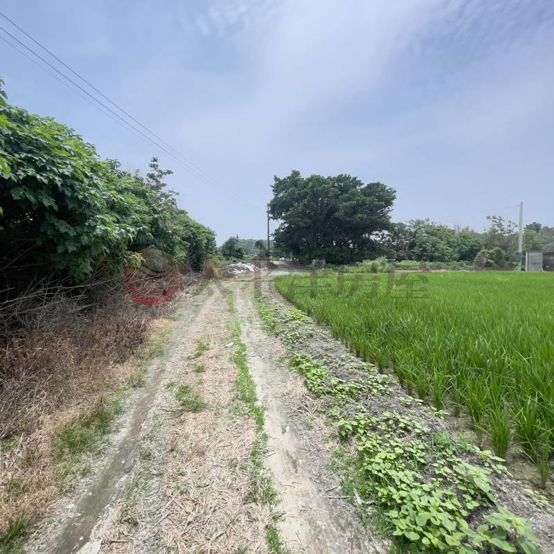 芳苑田園夢想農地|草二段房屋室內格局與周邊環境
