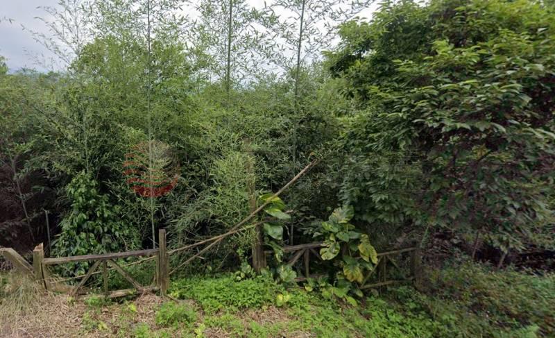 龍潭龍源段農+建房屋室內格局與周邊環境