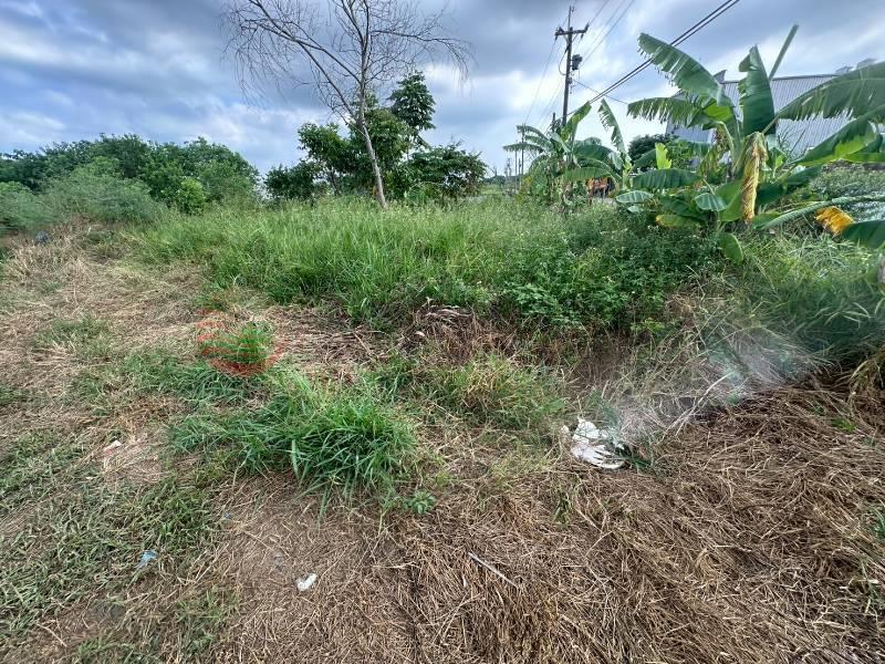 蘆竹福興段都內臨路農地