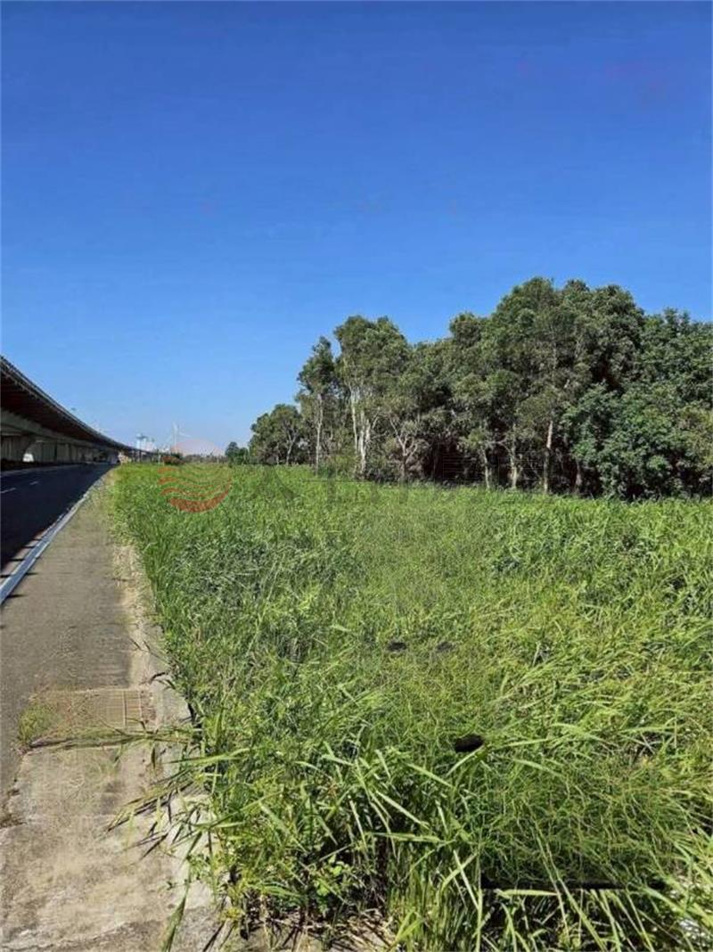 新屋一般農房屋室內格局與周邊環境