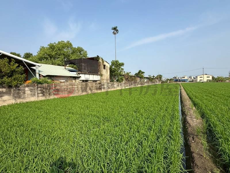草溪路旁前後臨路美農地房屋室內格局與周邊環境