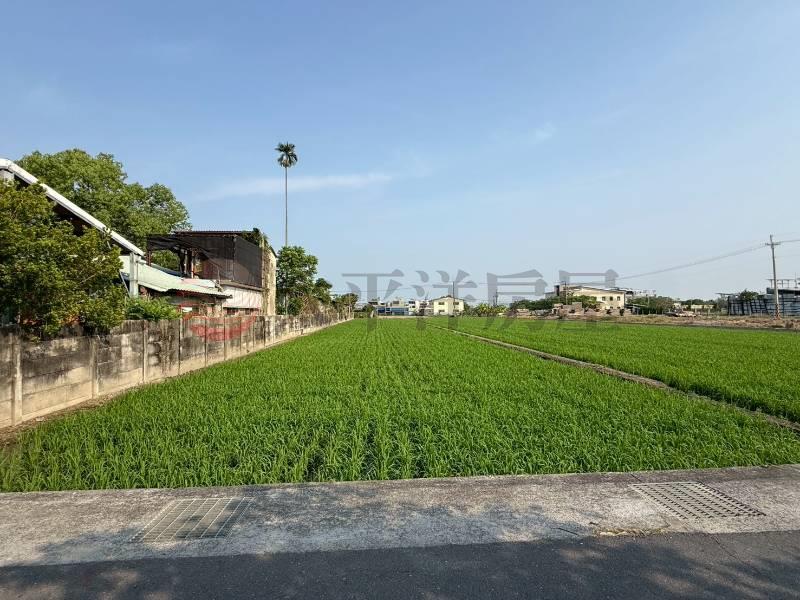 草溪路旁前後臨路美農地房屋室內格局與周邊環境