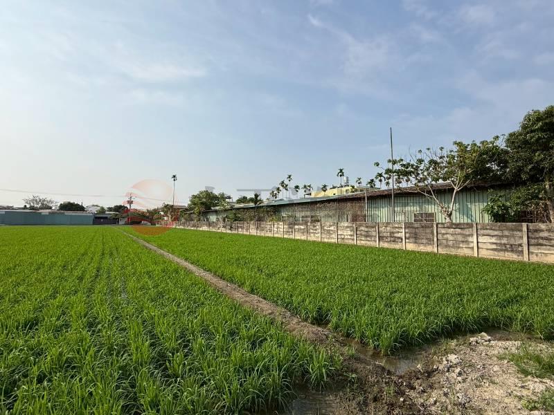 草溪路旁前後臨路美農地房屋室內格局與周邊環境