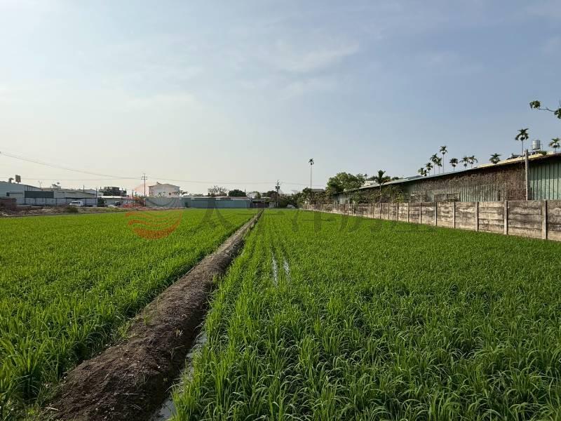 草溪路旁前後臨路美農地房屋室內格局與周邊環境