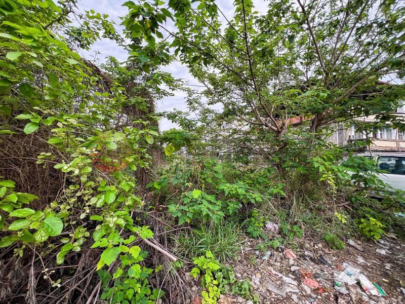 將軍廟旁9米面寬黃金角建地房屋室內格局與周邊環境