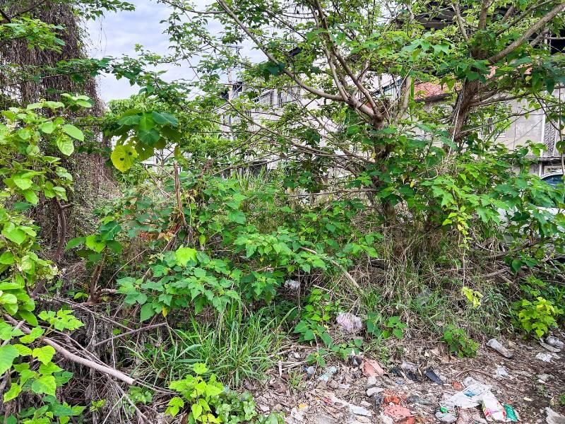 將軍廟旁9米面寬黃金角建地房屋室內格局與周邊環境