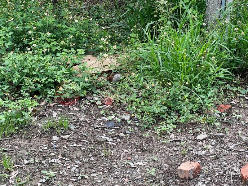 將軍廟旁9米面寬黃金角建地房屋室內格局與周邊環境