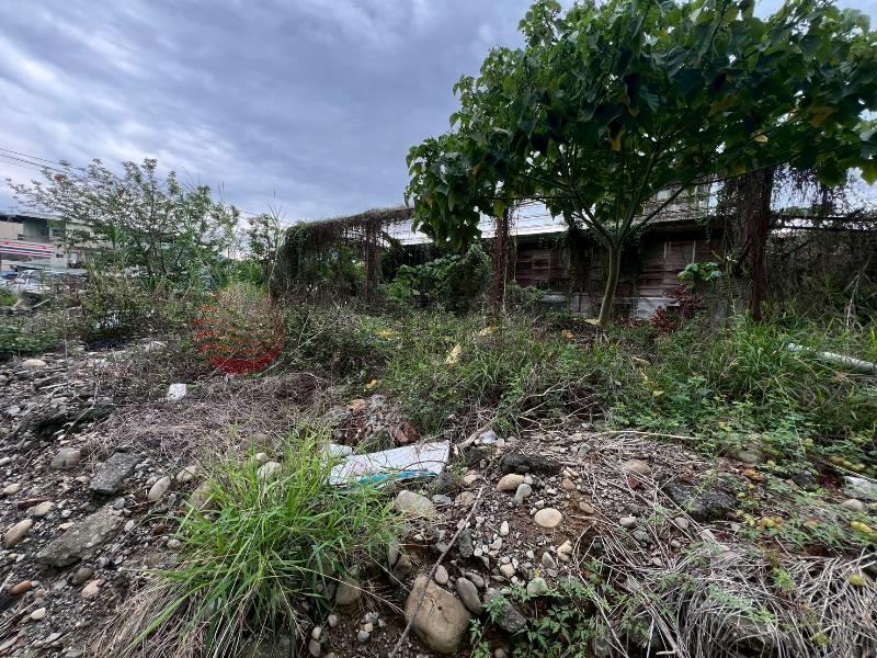 將軍廟旁9米面寬黃金角建地房屋室內格局與周邊環境