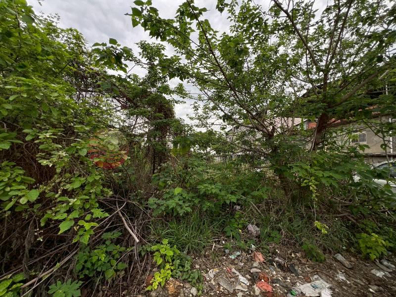 將軍廟旁9米面寬黃金角建地房屋室內格局與周邊環境