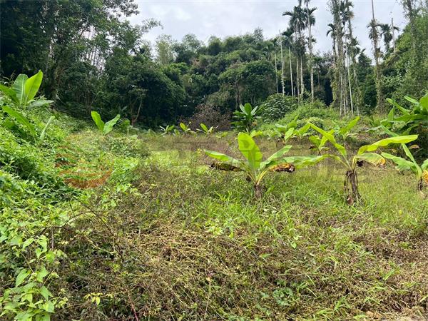 南中寮一分多可做農保農地房屋室內格局與周邊環境
