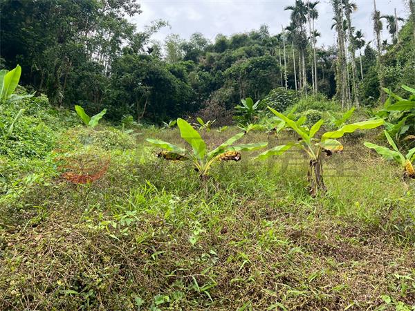 南中寮一分多可做農保農地房屋室內格局與周邊環境