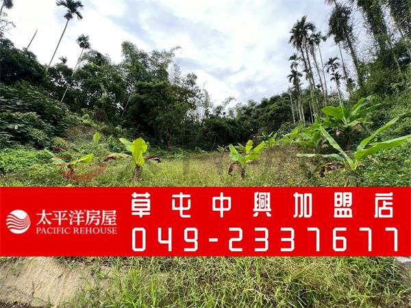 南中寮一分多可做農保農地房屋室內格局與周邊環境