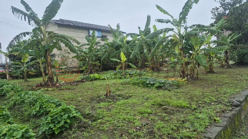 宜蘭縣壯圍鄉農地房屋室內格局與周邊環境