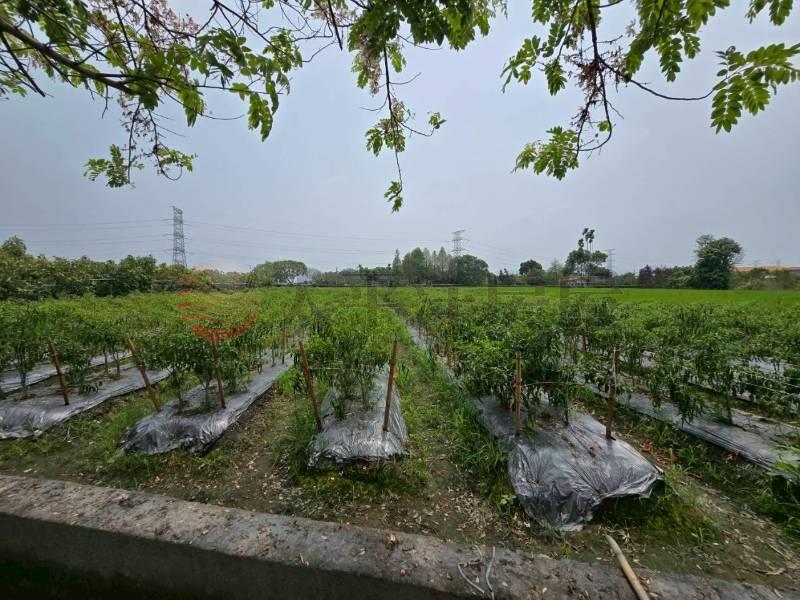 二水花旗木鐵道美田地房屋室內格局與周邊環境