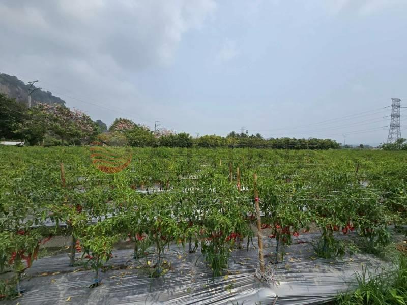 二水花旗木鐵道美田地房屋室內格局與周邊環境