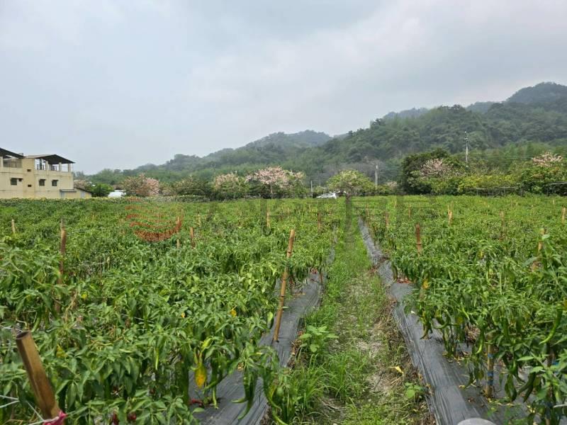二水花旗木鐵道美田地房屋室內格局與周邊環境