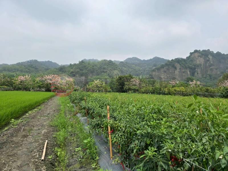 二水花旗木鐵道美田地房屋室內格局與周邊環境