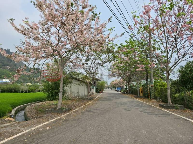 二水花旗木鐵道美田地房屋室內格局與周邊環境