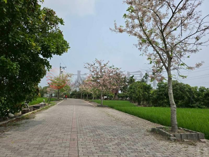 二水花旗木鐵道美田地房屋室內格局與周邊環境