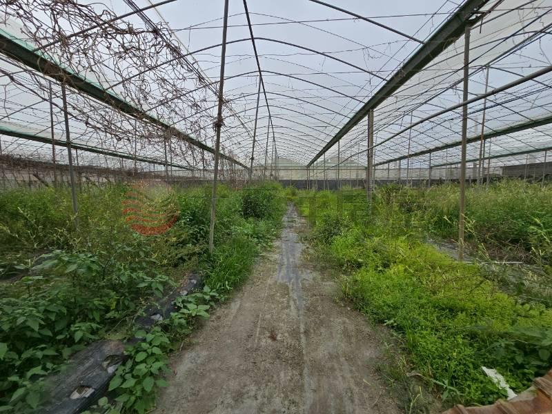 大村現成農設溫室美農地房屋室內格局與周邊環境