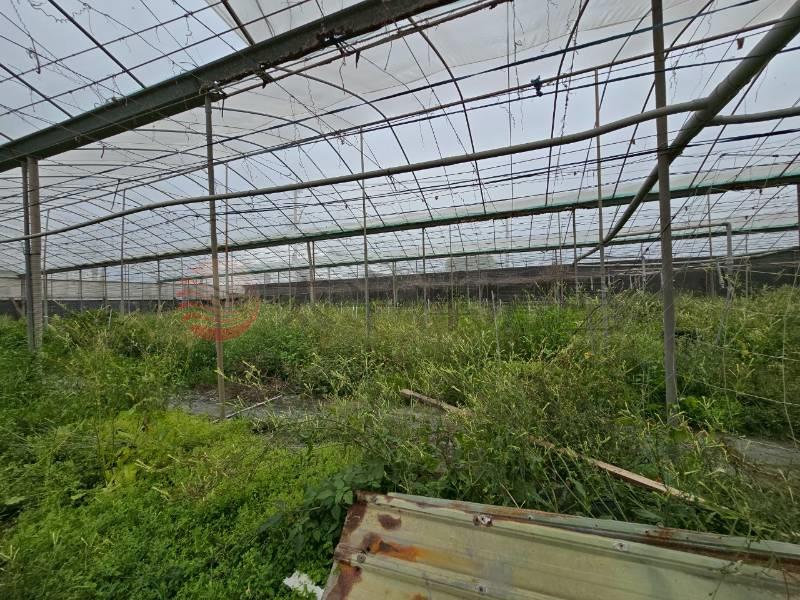大村現成農設溫室美農地房屋室內格局與周邊環境