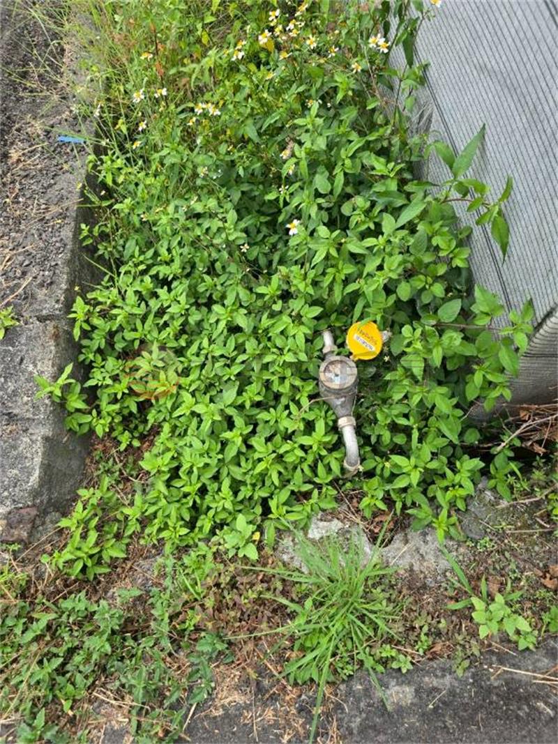 大村現成農設溫室美農地房屋室內格局與周邊環境