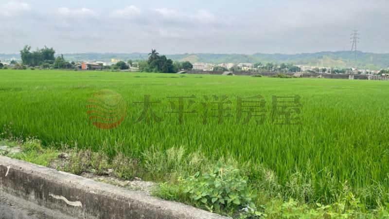 員林東南路方正美田房屋室內格局與周邊環境