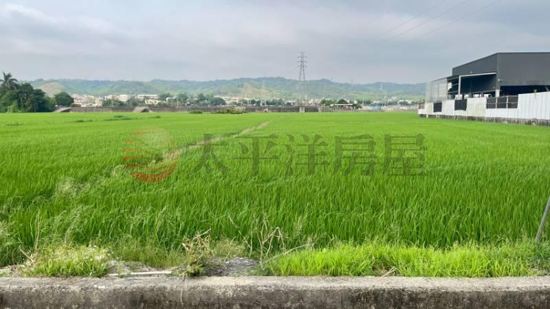 員林東南路方正美田房屋室內格局與周邊環境