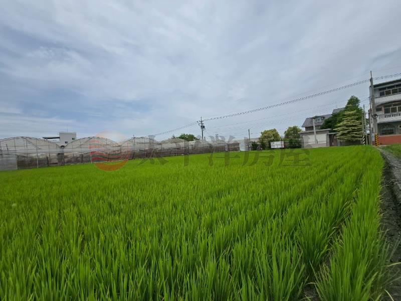 大村新興段優質田地(一)房屋室內格局與周邊環境