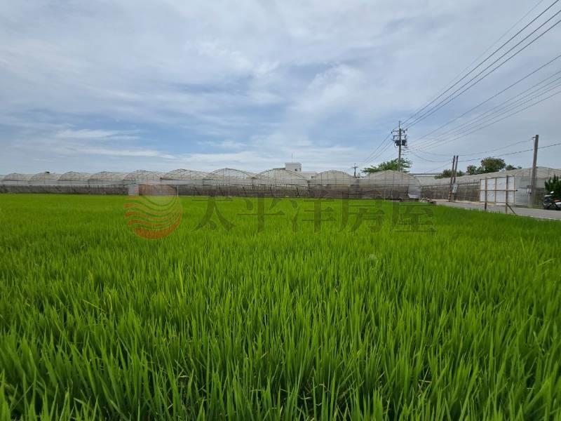 大村新興段優質田地(一)房屋室內格局與周邊環境