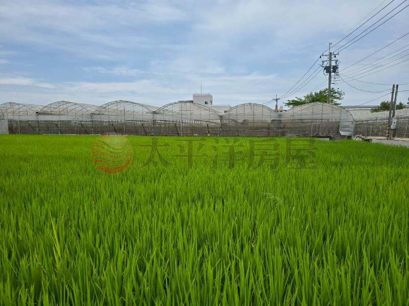大村新興段優質田地(一)房屋室內格局與周邊環境