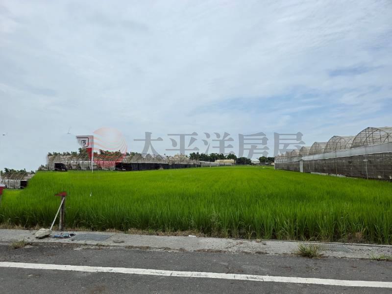 大村新興段優質田地(一)房屋室內格局與周邊環境